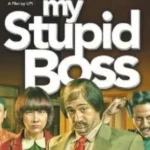 Film My Stupid Boss